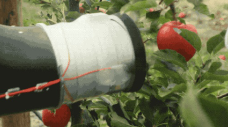 机器人摘苹果 果农的"世界末日"来临了吗?