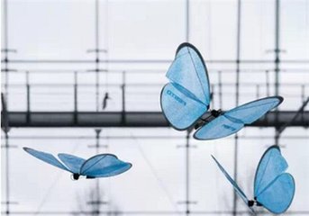 WRC2016观察：机器人越来越“心灵手巧”