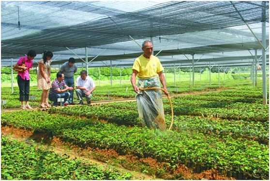 AGV小车运用于农业育苗，可行吗？