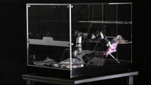 这家神秘公司欲造新型AI：通过人工遥控学习