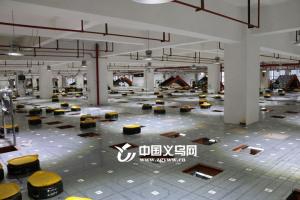 “萌萌哒”快递分拣机器人现身义乌 可减少70%人工