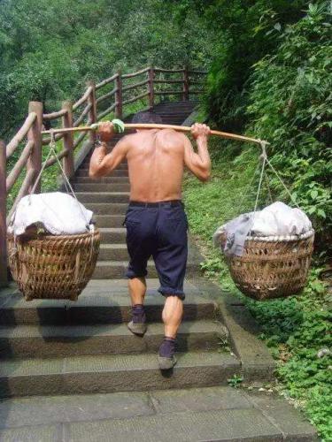 浅析搬运技术的演变