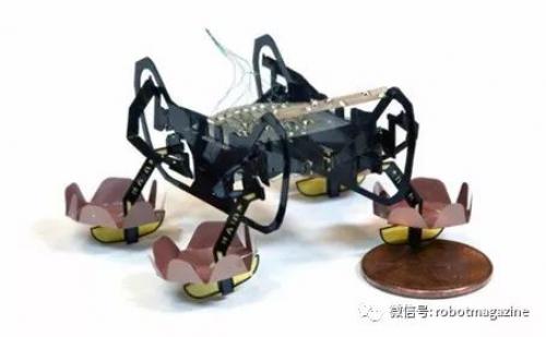 哈佛大学研发新型蟑螂仿生机器人