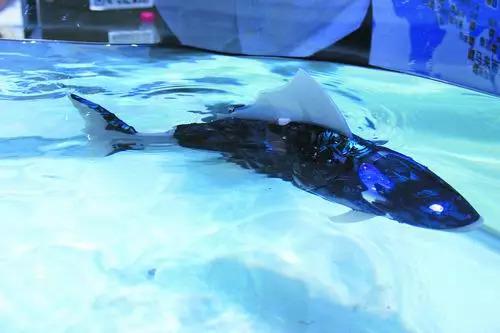 机器人风暴来袭：中国的机遇与挑战