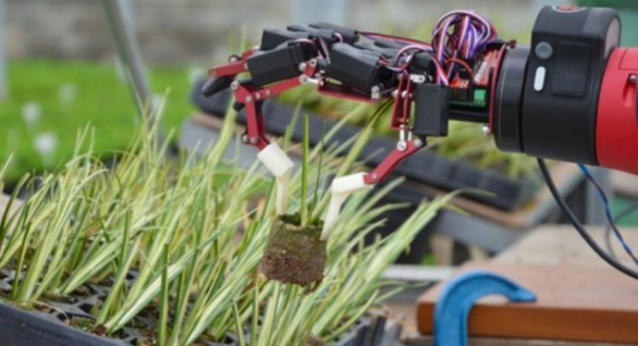 协作机器人的5种特殊应用案例