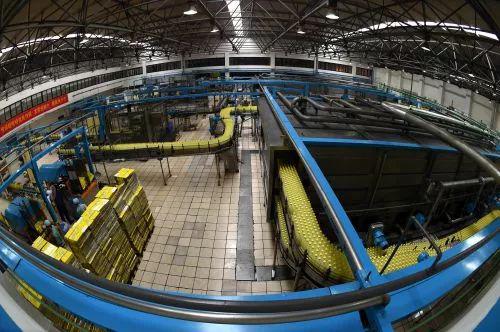 娃哈哈造机器人：失败的多元化路上再尝试