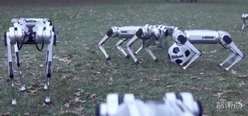 不用遛还会干家务、做保镖…！一大波四足机器狗来了