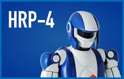 HRP-4