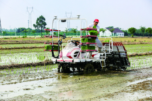 田间高科技！海盐开启稻田插秧无人作业新模式 