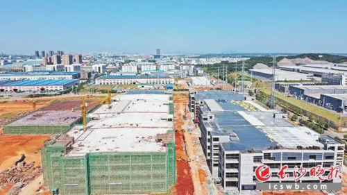 投资近百亿元 ，比亚迪“刀片电池”落地长沙