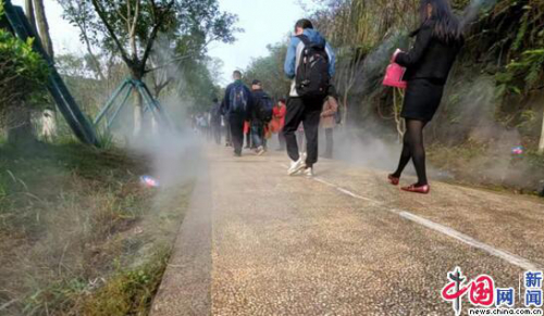 【共舞长江经济带·看高质量发展】重庆：智慧之城两江画卷正徐徐展开