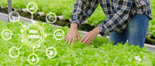 空间复合利用 台达自动化助力种菜新成就