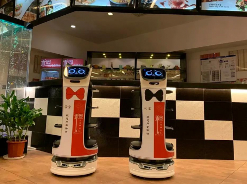 喵~普渡猫型机器人入驻北京大学！