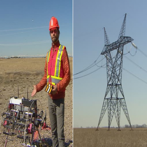 加拿大一公司开发机器人旨在增强电力线鸟类的安全性