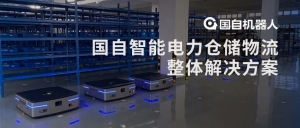 案例解析 | 国自智能电力仓储物流整体解决方案