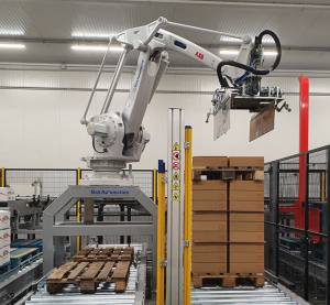 Mad Automation Mad Automation 码垛岛