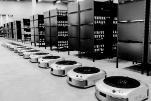 Cohesio 的Geek+ AMR 解决方案