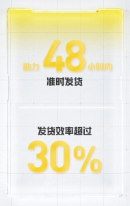 战绩斐然！立镖助力安踏双11物流高效作业