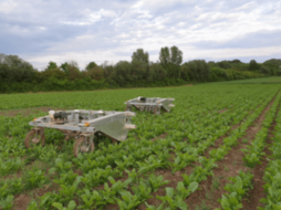 farming revolution自主机器人