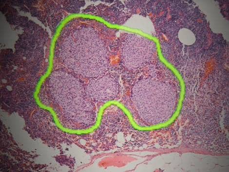 Jenoptik成像解决方案和相机_中国AGV网(www.chinaagv.com) Jenoptik成像解决方案和相机_中国AGV网(www.chinaagv.com)