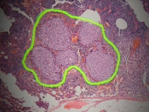 Jenoptik成像解决方案和相机