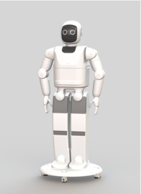 大呈 仿形机器人