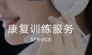 大艾 康复训练服务