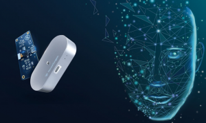 智慧鱼 AI实战课程