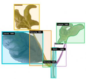 ironox 植物科学、机器人和数据:通往负碳之路
