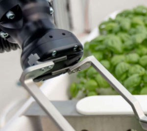 Iron Ox 农业系统,可再生性和可扩展性