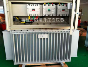 英施丹三相隧道升压器变压器