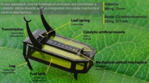 为科学研究服务”蟑螂 "机器人仅重88毫克！