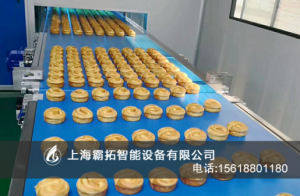 霸拓食品皮带输送机_中国AGV网(www.chinaagv.com) 霸拓食品皮带输送机_中国AGV网(www.chinaagv.com)