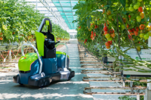 瑞士全自动切叶机器人可全天候运行