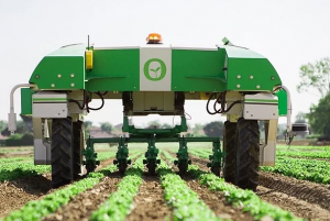 doorgrond  Naïo Dino 自主锄草机器人