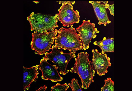 镁伽 活细胞成像平台_中国AGV网(www.chinaagv.com) 镁伽 活细胞成像平台_中国AGV网(www.chinaagv.com)