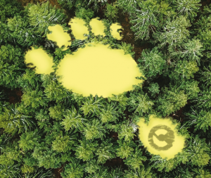 kenternext 肯特环保