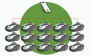 mygoat 批量采购协议(山羊群)