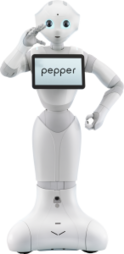 赫瓦Pepper