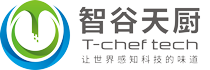 深圳市智谷天厨科技有限公司