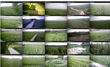 金尼斯 视远无线视频监控系统