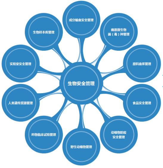 宏诚创新  产业地图