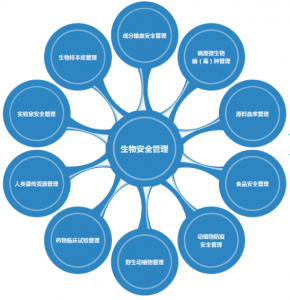宏诚创新  产业地图