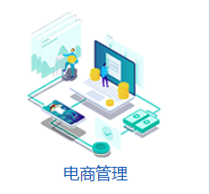 东方迈德  电商管理
