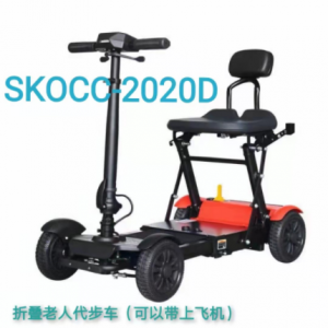 新侍邦2020D