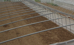 钧湃科技 全钢架无立柱拱棚