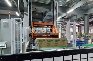 KYMD全自动纸箱码垛机