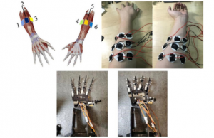 研究人员为假肢创建新的学习模型
