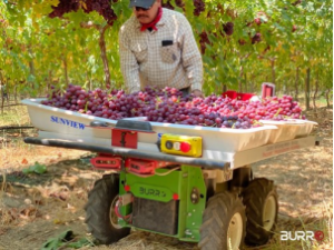 Burro 筹集了 1090 万美元的 A 轮融资，以加速其协作机器人平台的商业化