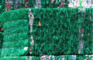 AMP 和 Evergreen 扩大回收分拣合作伙伴关系